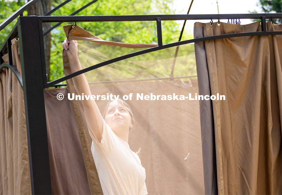 Tri Delta’s Kate Freeman, hangs and adjusts a screen for a homeowner’s backyard pergola during the Big Event. May 4, 2024. Photo by Kirk Rangel for University Communication.